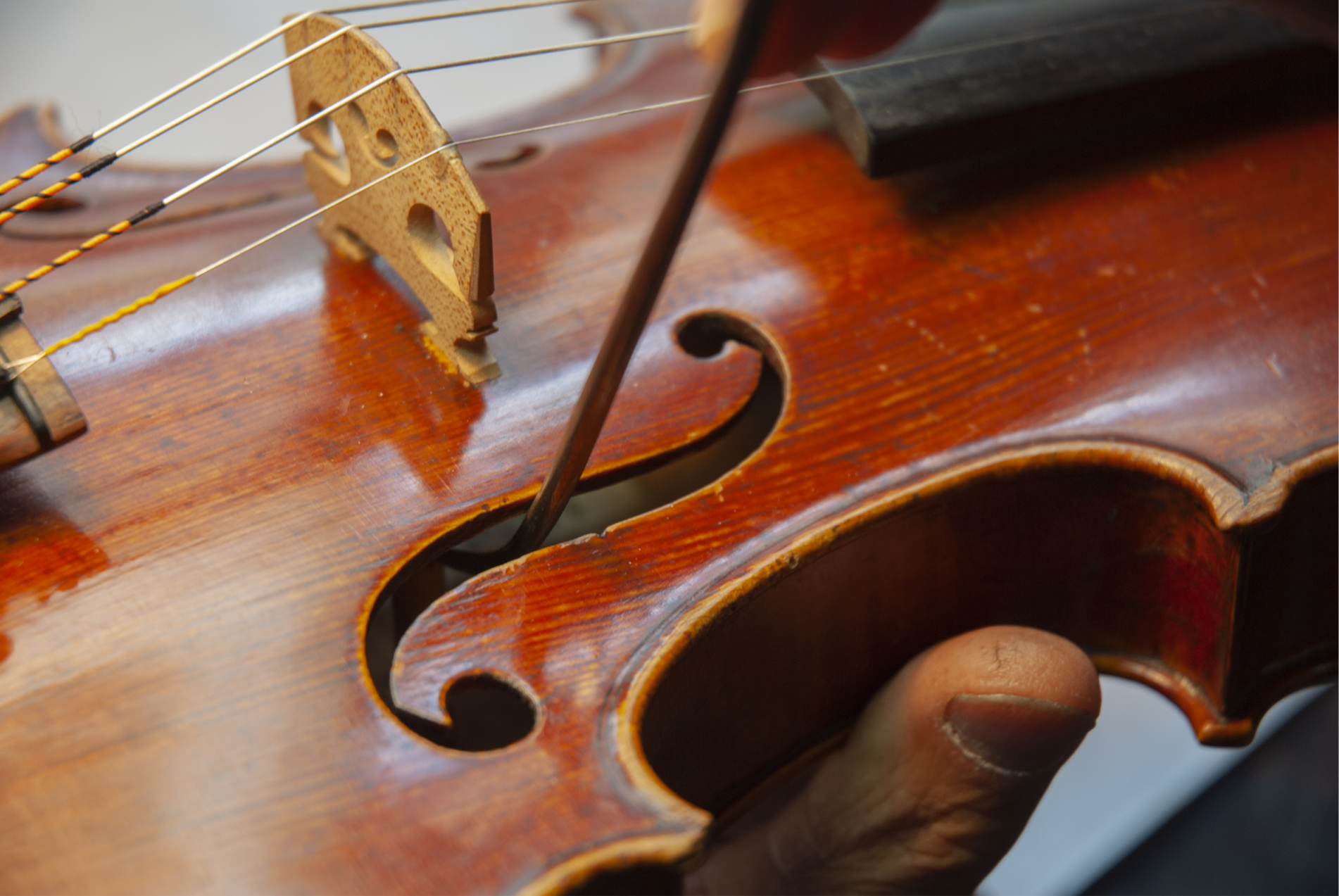 luthier8